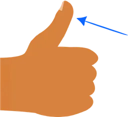 thumb.webp